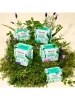 Breathable organic cotton regular pads for daily use