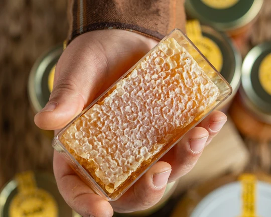 Close-up of natural beeswax honeycomb cells filled with raw honey